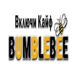 Радио BumbleBee - Radio BumbleBee